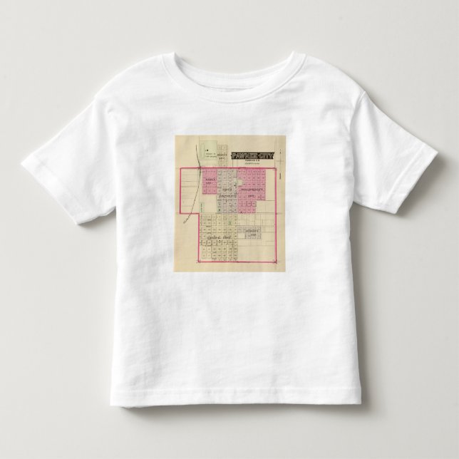 Camiseta Infantil Cidade do Pawnee, Nebraska (Frente)