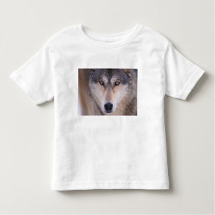Camiseta Infantil cinza lobo, Canis lupus, feche os olhos
