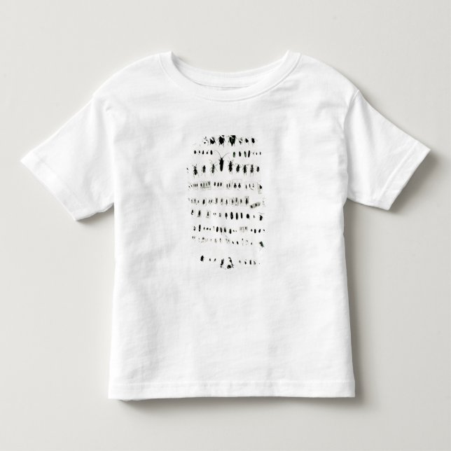 Camiseta Infantil Coleção do inseto de Darwin (Frente)