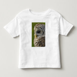 Camiseta Infantil Coruja-barreada, Strix varia, Michigan
