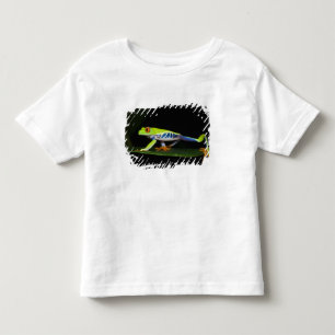 Camiseta Infantil Costa Rica, Perereca-de-olhos-vermelhos (Agalychni