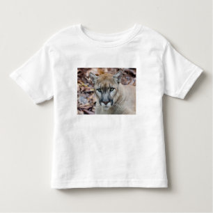 Camiseta Infantil Cougar, leão da montanha, Puma da Flórida