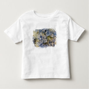 Camiseta Infantil Cristais azuis da fluorite na matriz