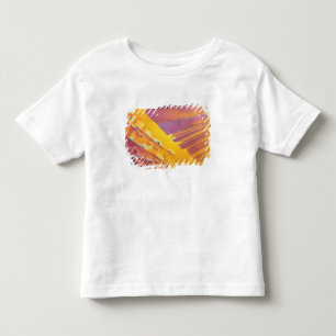 Camiseta Infantil Cristais do ácido Oxalic
