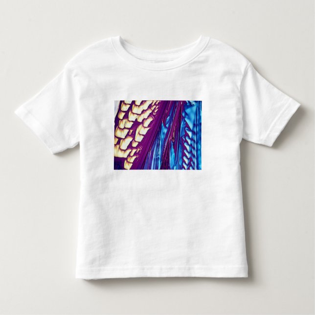 Camiseta Infantil Cristais do ácido Tartaric (Frente)