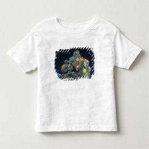 Camiseta Infantil Descloizite na calcite