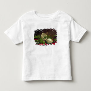 Camiseta Infantil Doenças