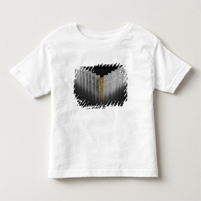 Camiseta Infantil Dominós do ouro e da prata (Frente)