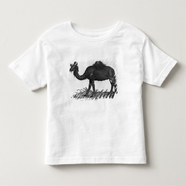 Camiseta Infantil Dromedary, 'de Historial Animalium (Frente)