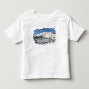 Camiseta Infantil Dunas Transversais e Soaptree Yucca
