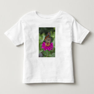 Camiseta Infantil E.U.A., Massachusetts, Boylston, Tower Hill
