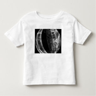 Camiseta Infantil Elipse lunar