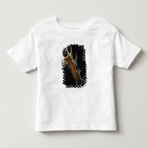 Camiseta Infantil Escudo do Conch