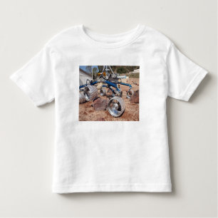 Camiseta Infantil Espantalho, um modelo de teste de mobilidade