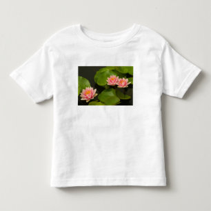 Camiseta Infantil Estados Unidos, DC, Washington, Kenilworth 4
