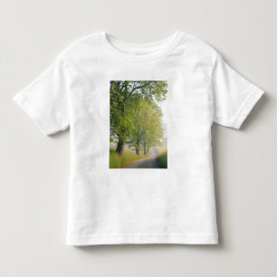 Camiseta Infantil Estrada coberta de nevoeiro, Cades Cove, Enfumaça
