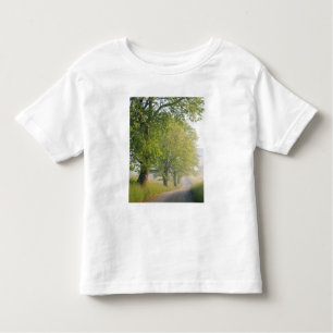 Camiseta Infantil Estrada coberta de nevoeiro, Cades Cove, Enfumaçad