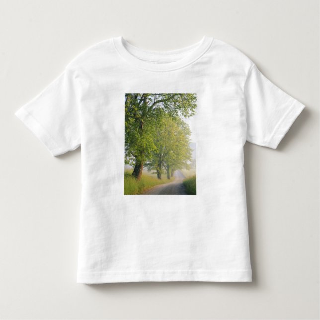 Camiseta Infantil Estrada coberta de nevoeiro, Cades Cove, Enfumaçad (Frente)