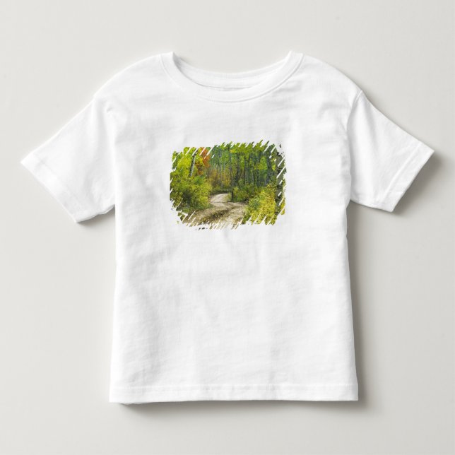 Camiseta Infantil Estrada com cores de outono e espaços em Kebler (Frente)