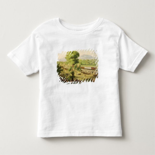 Camiseta Infantil Estrada de ferro no vale de México, 1869 (Frente)