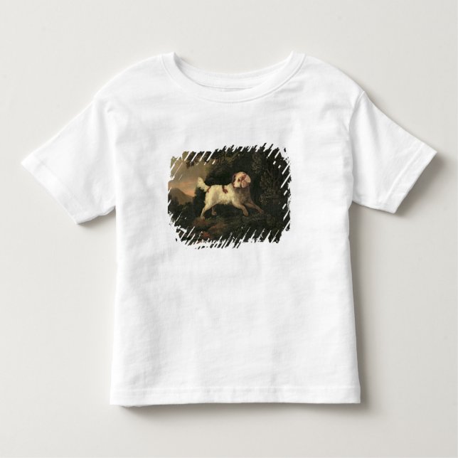 Camiseta Infantil Estudo do Spaniel de Clumber (Frente)