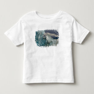 Camiseta Infantil EUA, Alasca, Floresta Nacional Tongass, Tracy 3