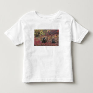 Camiseta Infantil EUA, Alasca, Parque Nacional Denali. Urso pardo