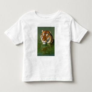 Camiseta Infantil EUA, Califórnia, Condado de Los Angeles. Bengala