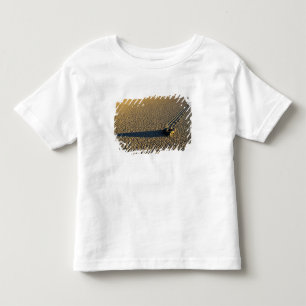 Camiseta Infantil EUA, Califórnia, Parque Nacional do Vale da Morte.