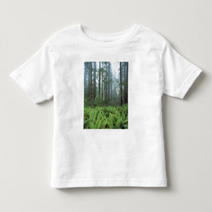 Camiseta Infantil EUA, Califórnia, Parque Nacional Redwood. Samambai