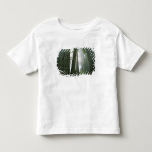 Camiseta Infantil EUA, California, Redwood National Park, 2
