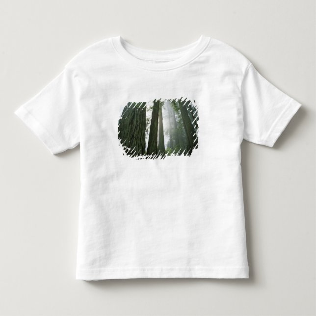 Camiseta Infantil EUA, California, Redwood National Park, 2 (Frente)