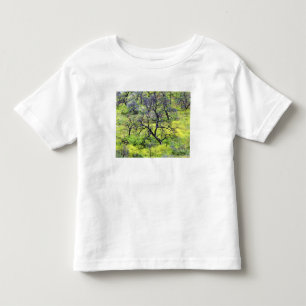 Camiseta Infantil EUA, Califórnia, San Diego. Uma floresta de carva