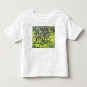 Camiseta Infantil EUA, Califórnia, San Diego. Uma floresta de carval