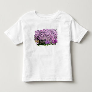 Camiseta Infantil EUA, Delaware, Wilmington. Banco de madeira sob