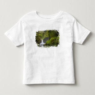 Camiseta Infantil EUA, Eagle Creek, Columbia Gorge, Oregon.3