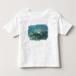 Camiseta Infantil EUA, FL, Manatee
