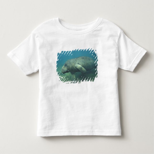 Camiseta Infantil EUA, FL, Manatee (Frente)