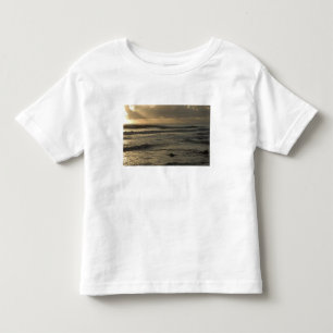 Camiseta Infantil EUA, Havaí, Kauai, costa sudoeste, perto de Waimea