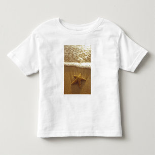 Camiseta Infantil EUA, Havaí, Maui, Maui, Kihei, Estrela-do-mar e