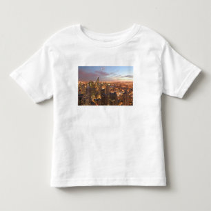Camiseta Infantil EUA, Illinois, Chicago: Vista da Noite do Loop
