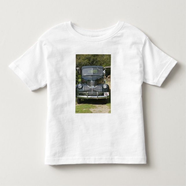 Camiseta Infantil EUA, MASSACHUSETTS, Martha's Vineyard: 4 (Frente)