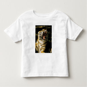 Camiseta Infantil EUA, Michigan, Detroit. Detroit Zoo, tigre