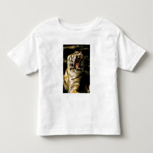 Camiseta Infantil EUA, Michigan, Detroit. Jardim zoológico de