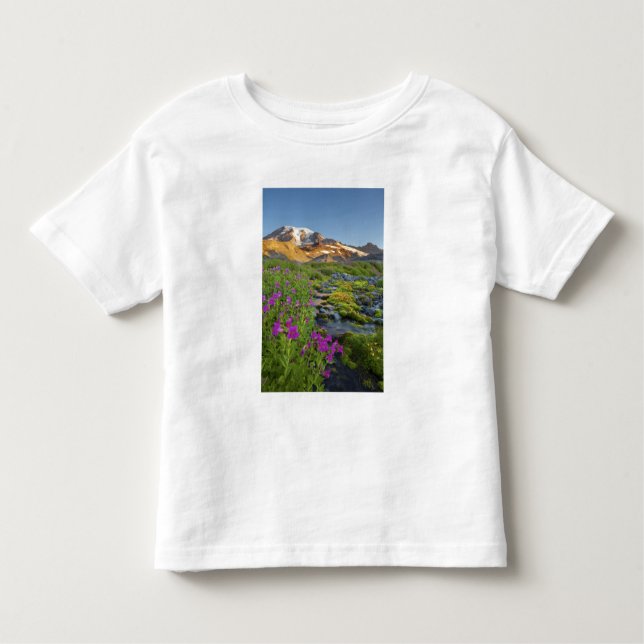 Camiseta Infantil EUA, Mt. Rainier National Park, Washington. (Frente)