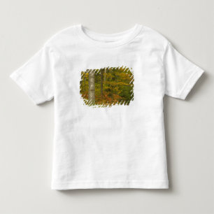 Camiseta Infantil EUA, Nova Hampshire, Livermore, Montanha Branca