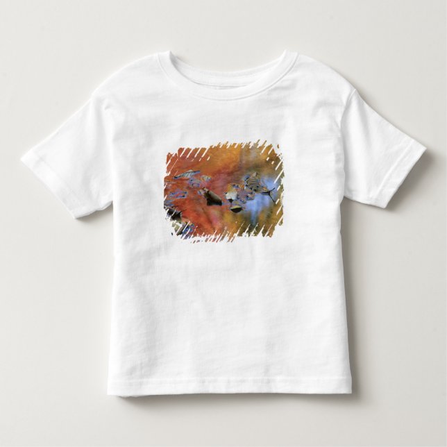 Camiseta Infantil EUA, Nova York, Adirondacks, Fallen deixa em (Frente)
