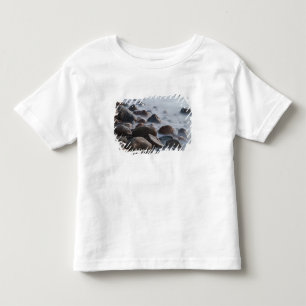 Camiseta Infantil EUA, Nova York, East Hampton. Ondas do oceano em