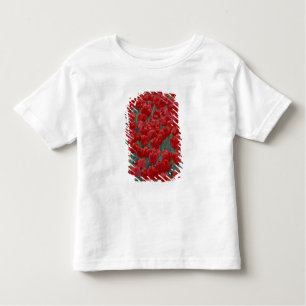 Camiseta Infantil EUA, Ohio, Cincinnati. Cama de tulipas vermelhas
