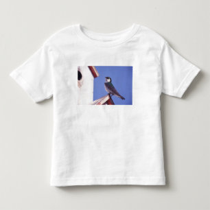Camiseta Infantil EUA, Oregon. Andorinha-violácea Tachycineta